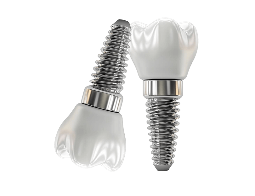 Set of 2 Artificial Teeth