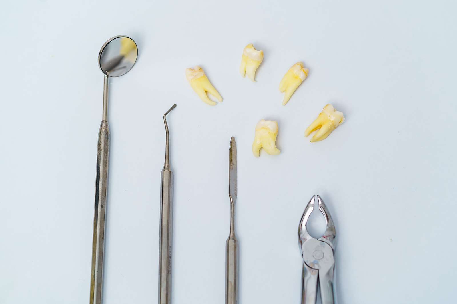 Impacted Tooth Extraction Tools